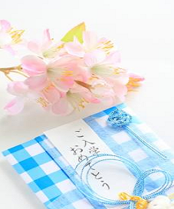 入学祝い 姪っ子、甥っ子への相場は_03