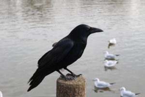 f64303c2ef35354070b516ce065e4e51_s