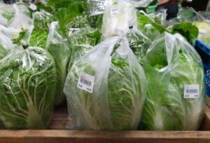 白菜 腐る 日にち