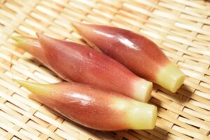 みょうが 汁 腐る