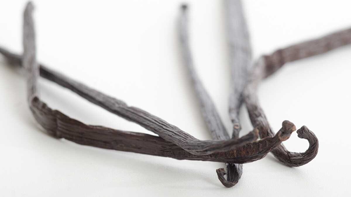 バニラビーンズ 保存