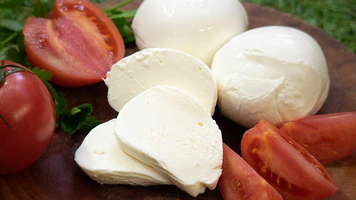 モッツァレラチーズ 未開封