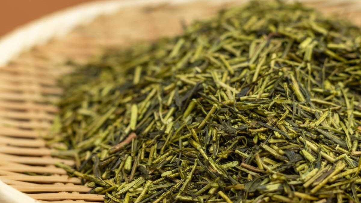 緑茶 賞味期限切れ 活用