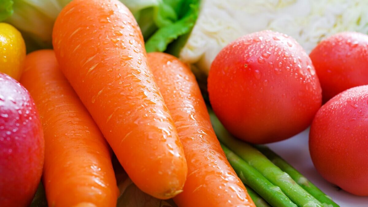 野菜　見分け方