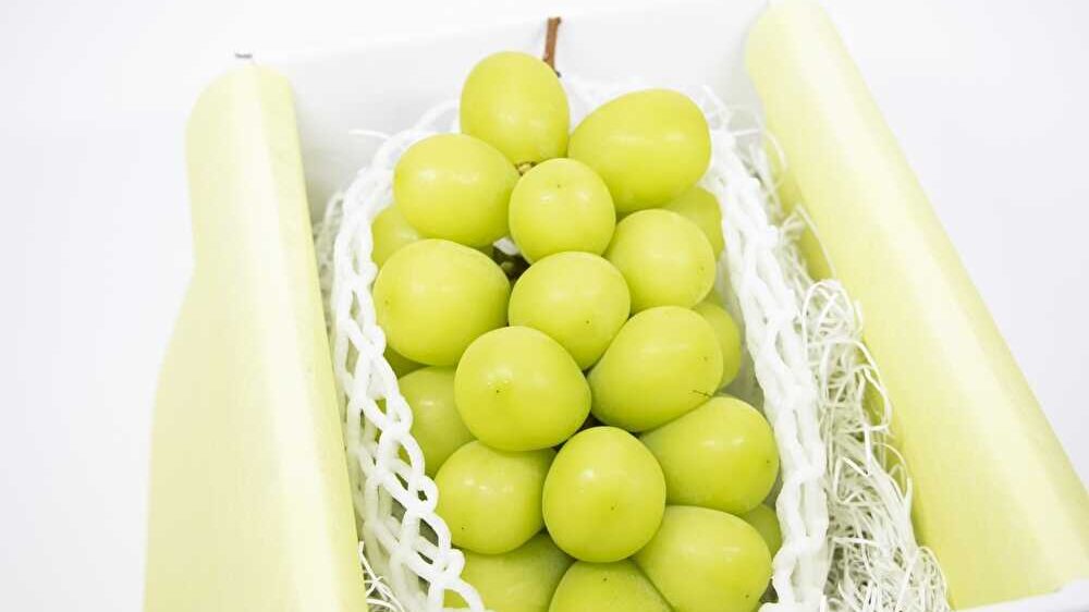 シャインマスカット　糖質