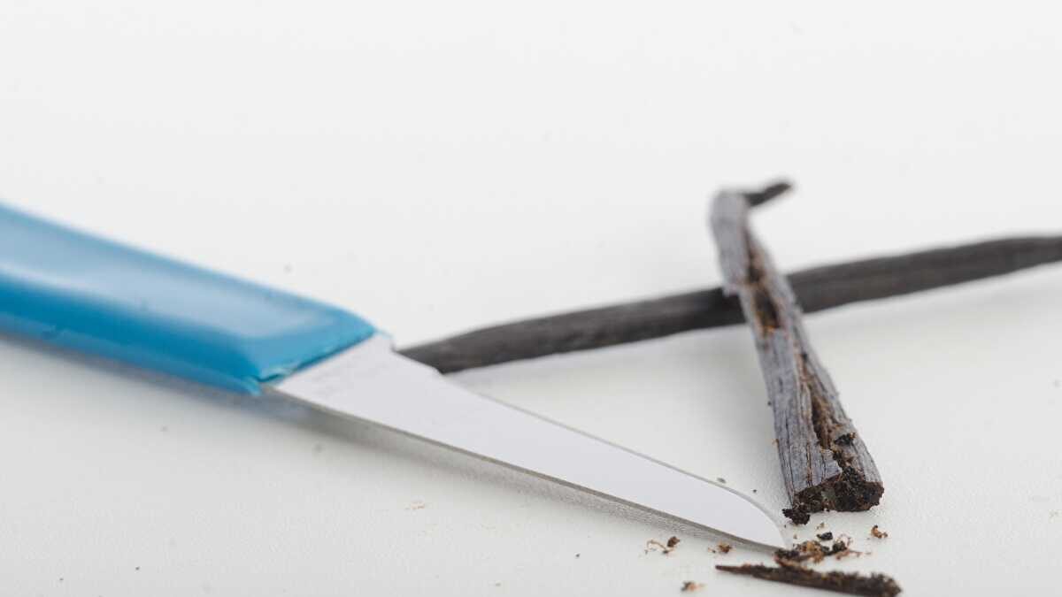 バニラエッセンス 体に悪い